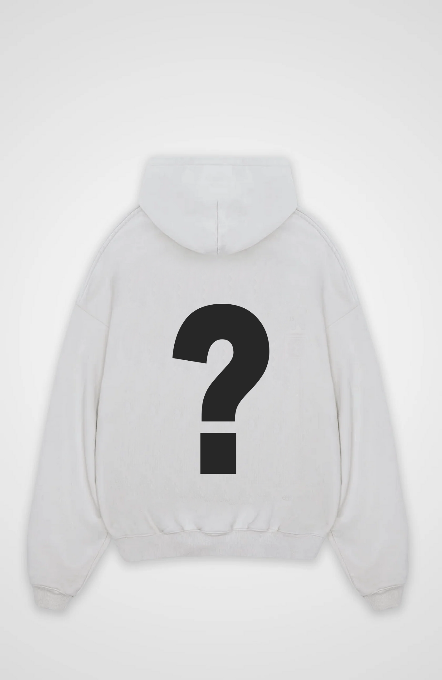 Mystery Hoodie