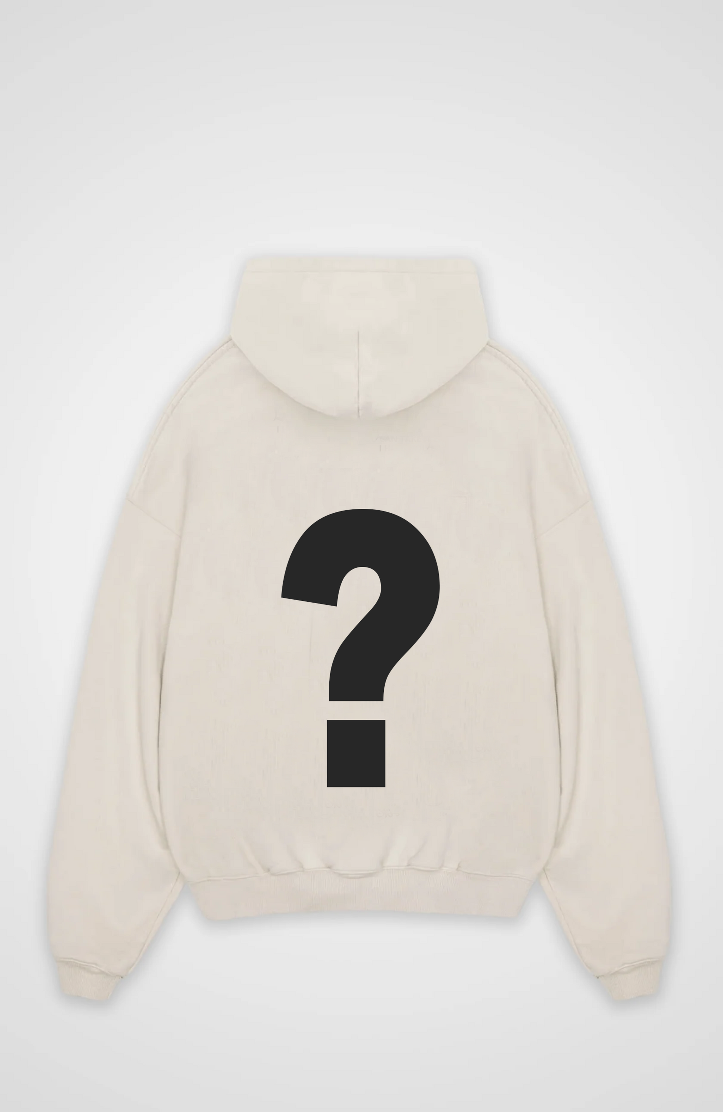 Mystery Hoodie